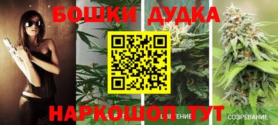 сатива Кулебаки