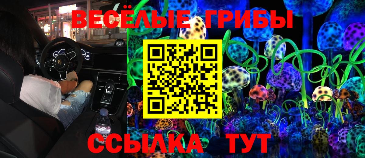 Псилоцибиновые грибы MAGIC MUSHROOMS Камышин