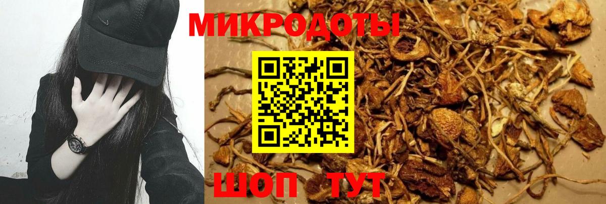 Псилоцибиновые грибы Psilocybe  Вход с VPN  Галлюциногенные грибы мухоморы  Камышин 